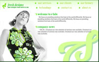 Click to preview a sample Flash website created by the Flash website builder!